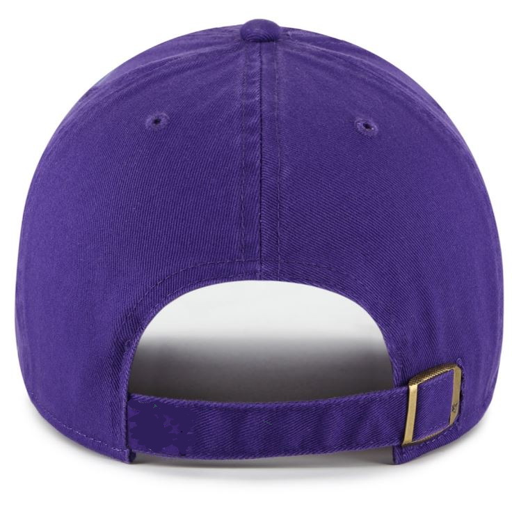 NFL Minnesota Vikings Legend ’47 MVP - Purple