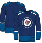 NHL Winnipeg Jets Fan Jersey Basic Home - Neutral