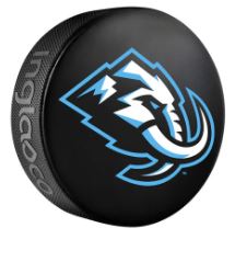 Rondelle avec logo script des Red Wings de Détroit de la LNH